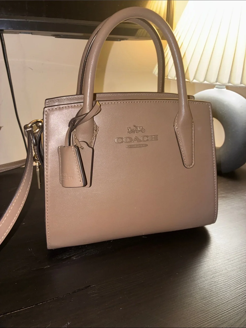 Coach Andrea Carryall Bag